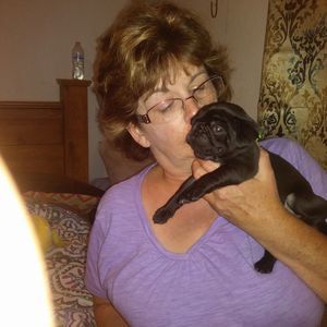 Meet your Posher, Robin